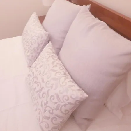 Casa Da Urze Holiday home Viseu